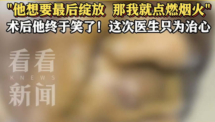 黄大仙一肖一码,老人去世 狗狗在一旁“泣不成声”,国产化作答解释落实_AndroidV8.55